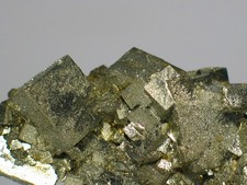 NS PYRIT xx, , Niccioletta