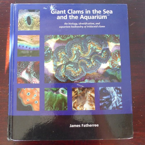 Giant clams the sea and - in,