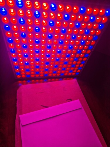 Led growlight 45watt - growlight,