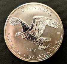 Maple Leaf 2014 1 oz Birds Of Prey Weißkopfseeadler Silber 9999