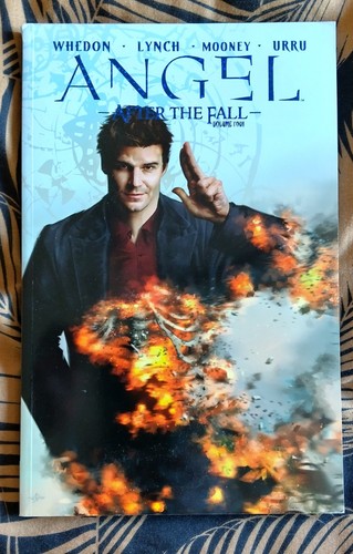 Angel after the fall - -,