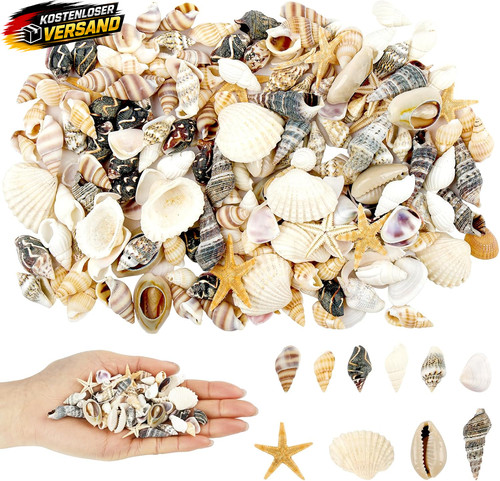 200 stück muscheln zum - 200,