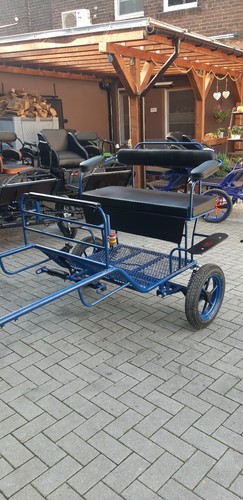 Minishetty gig zoll - 12,