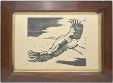 Klemm, Fliegender Storch