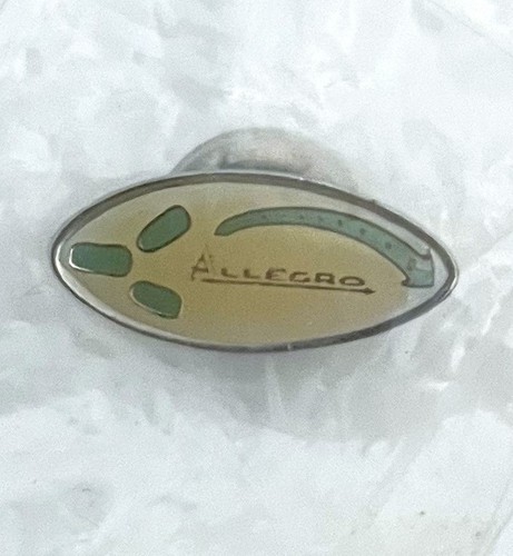 Vintage pins sammlung austin - vintage,