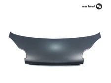 Wartungsklappe Haube