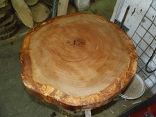 Baumscheibe, Holzscheibe