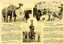 Wanderzirkus (Barum) mit Elefant Jumbo & Tanzbären vor den Toren Berlin's c.1914