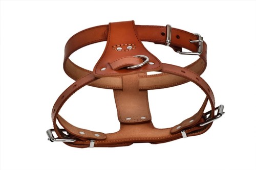 Leder hundegeschirr pull - leder,