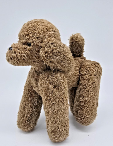 Kleiner ddr hund pudel - ddr,