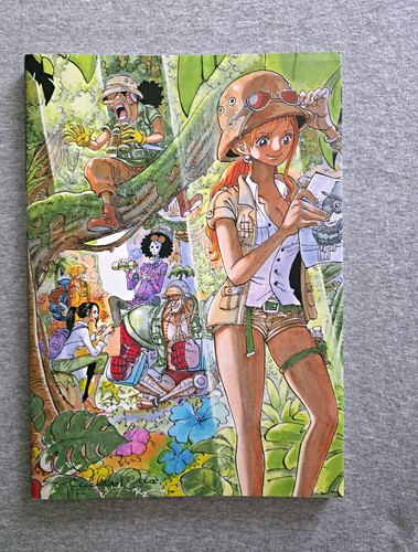 One piece color walk tiger - color, 9