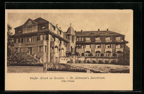 Weißer hirsch bei dresden - weißer,