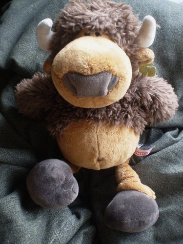 Nici büffel bison big bow - big,