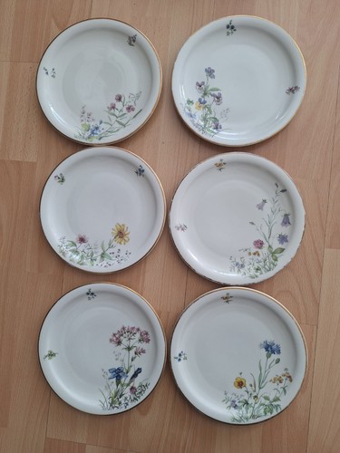 Teller 5cm serie a - 19,5cm,, a-f