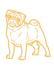 2X XXL Pug Dogs Car Stickers