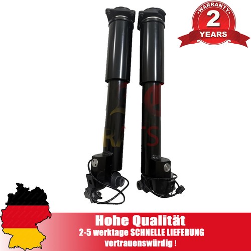 Stoßdämpfer hinterachse - 2x,