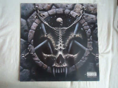 Vinyl album record slayer - album,