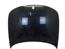 Motorhaube 230 Scarabe Grün