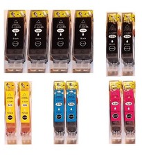 12 Patronen für Canon IP4800