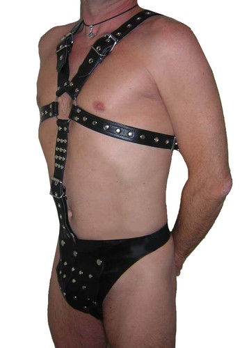 Harness harnisch harnais leder - harness,