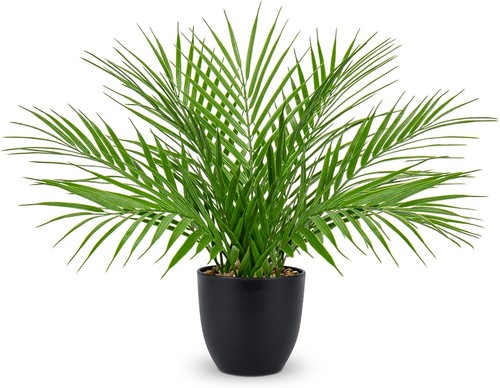 Oairse 6cm kunstpflanze - 40,6cm, im