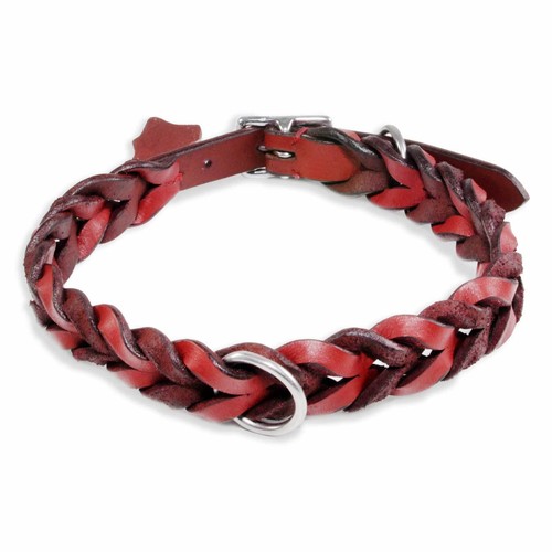 Hundehalsband halsband hunde - halsband,