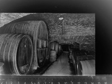 30070662 - 5481 Mayschoss