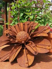 Edelrost Blume Sarah