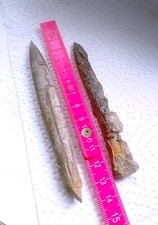 Belemniten groß 11 cm