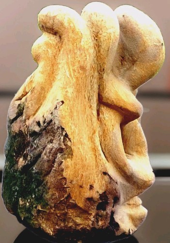 Weicherhartschalenkern - "weicherhartschalenkern",