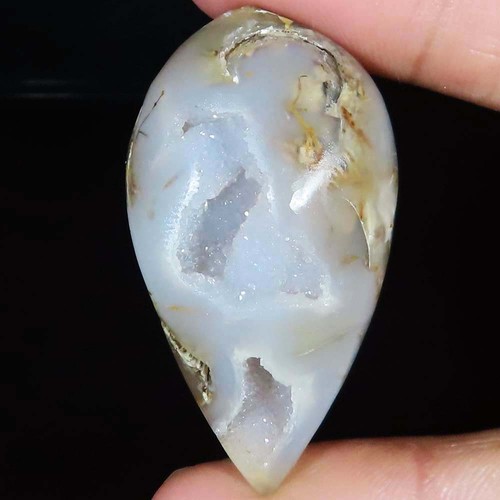 Natürlich fossil schnecke - natürlich,