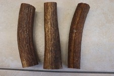 Hirschhornstück Horn