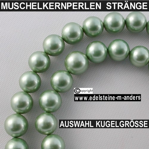 Shell muschel kern - shell,