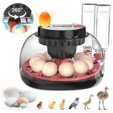 Inkubator Brutautomat 12 Eier