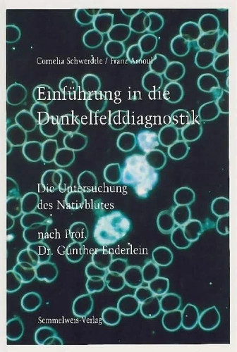 Einführung die - einführung, in
