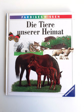 (940)  Farbiges Wissen “Die