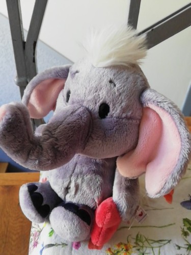 Nici love elefant - nici, elefant,