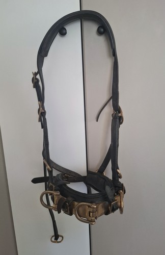 Kappzaum longierhalfter aus - kappzaum,