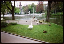 7x Kleinbilddias - Wiesbaden