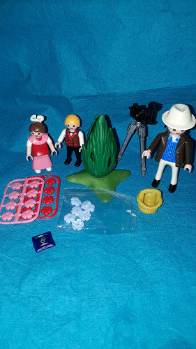 Playmobil 4299