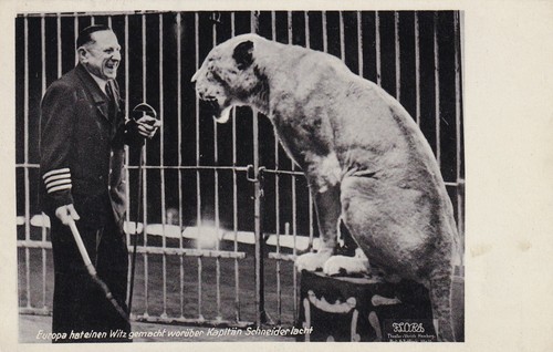 Zirkus schneider foto - zirkus, uralt