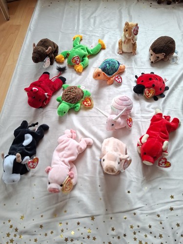 Beanie babys sammlung - beanie, 13