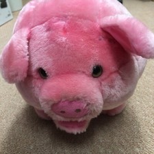 Kleines dickes Ferkel