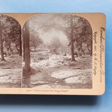Stereoview karte echtfoto - stereoview,