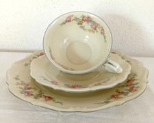 Sammeltasse Sammelgedeck  C.T.  Tielsch  Altwasser  3teilig - Vintage