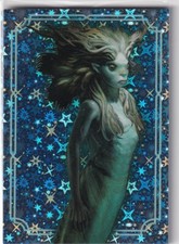 Panini Harry Potter Evolution