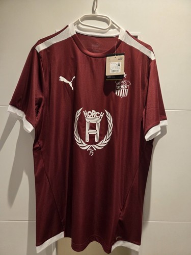 Fsv zwickau sondertrikot - fsv,
