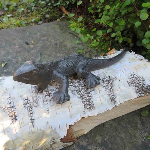 Salamander gecko gusseisen - gecko,