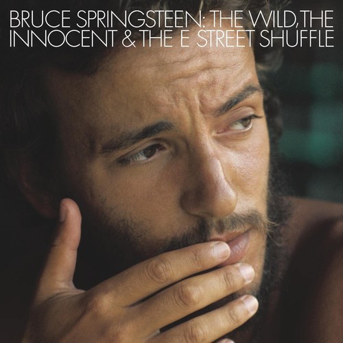 Bruce springsteen the - bruce,