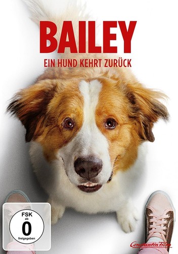 Bailey ein hund - bailey,
